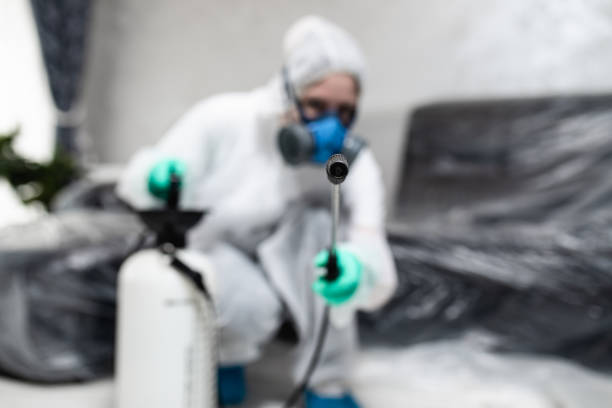 Say Goodbye to Termites with Our Proven Solutions